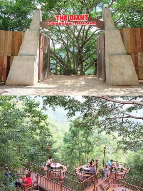 Chiang Mai: The Giant Café & Mae Kampong Village Day Trip - Practical Details and Value