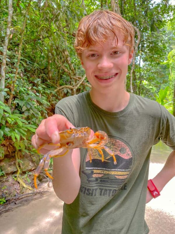 Chiang Mai: The Original Sticky Waterfalls & Thai Cooking - The Thai Cooking Class: From Market to Plate