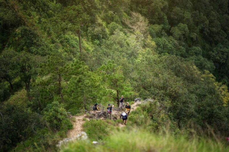 Chiang Mai : Thep Sadet & Coffee Plantation Full Day Hiking - The Coffee Experience & Cultural Touches