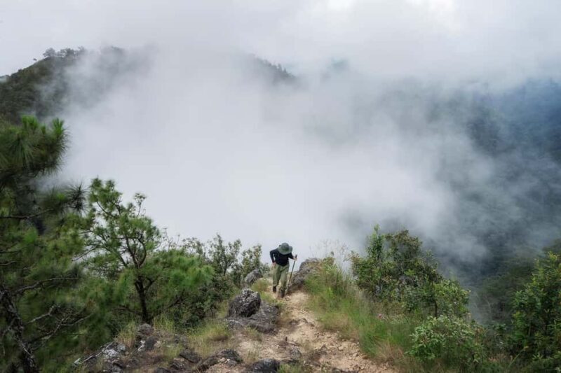 Chiang Mai : Thep Sadet & Coffee Plantation Full Day Hiking - What the Experience Tells You