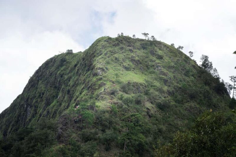 Chiang Mai : Thep Sadet & Coffee Plantation Full Day Hiking - Who Will Love This Tour?