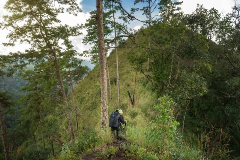 Chiang Mai : Thep Sadet & Coffee Plantation Full Day Hiking - The Sum Up
