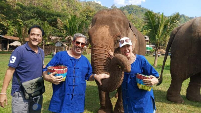 Chiang Mai Tour: Bua Tong Sticky Waterfall & Elephant Care - An Honest Look at the Chiang Mai Waterfall & Elephant Tour