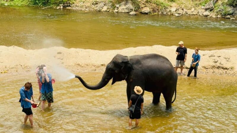 Chiang Mai Tour: Bua Tong Sticky Waterfall & Elephant Care - Practical Tips for Your Day Out