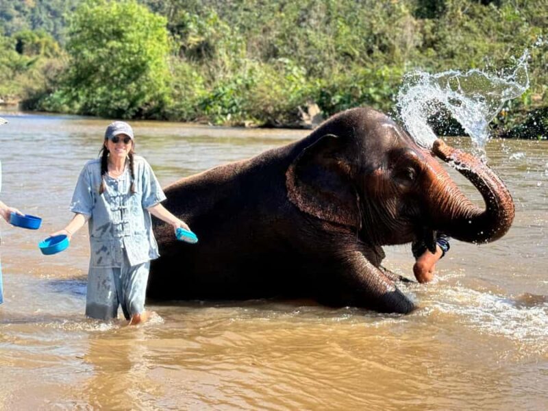 Chiang Mai Tour: Bua Tong Sticky Waterfall & Elephant Care - Who Will Love This Tour?