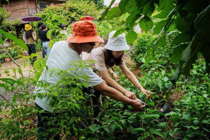 chiang-mai-tour-of-craft-village-at-ban-nam-ton