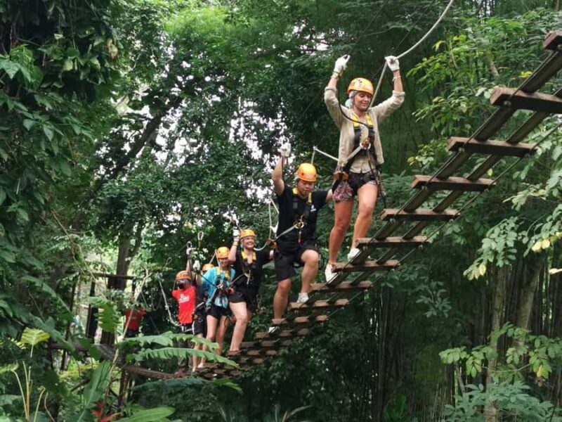 Chiang Mai: Tree House Stay & Jungle Zip-Lining - An In-Depth Look at the Chiang Mai Tree House & Jungle Zip-Lining Experience