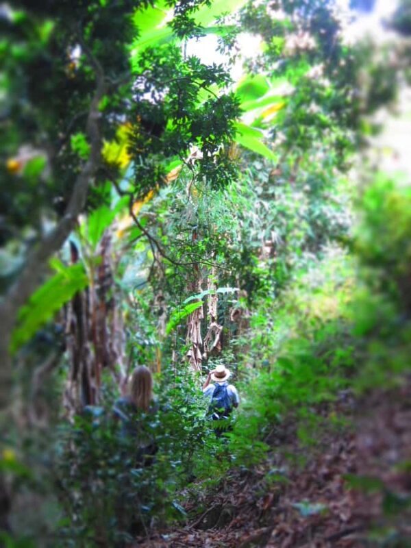 Chiang Mai: Tree House Stay & Jungle Zip-Lining - FAQ