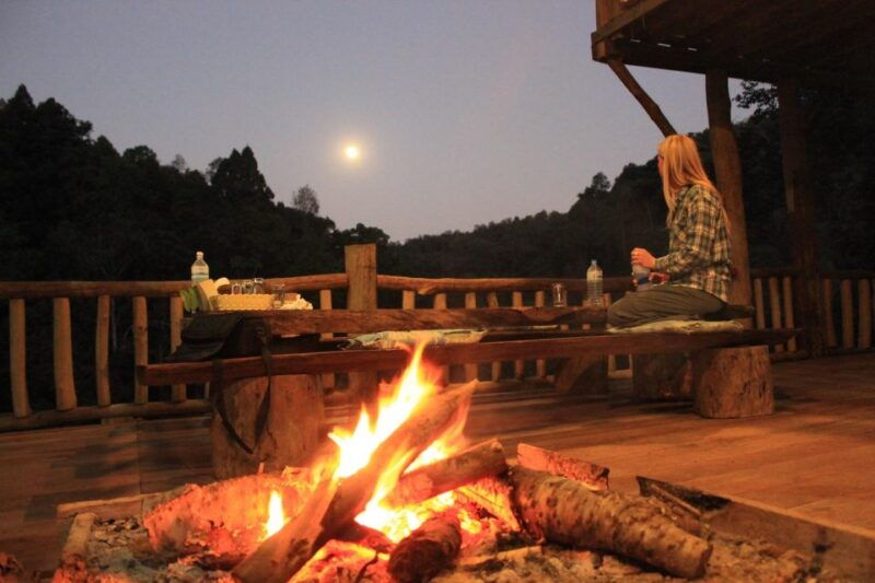 chiang-mai-tree-house-stay-jungle-zip-lining