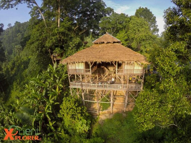 chiang-mai-tree-house-stay-jungle-zip-lining