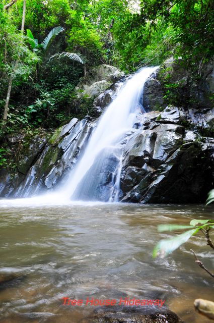 chiang-mai-tree-house-stay-jungle-zip-lining