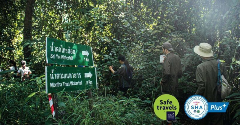 Chiang Mai Trek: Doi Suthep Area w/ Market and Temple Visit - Key Points