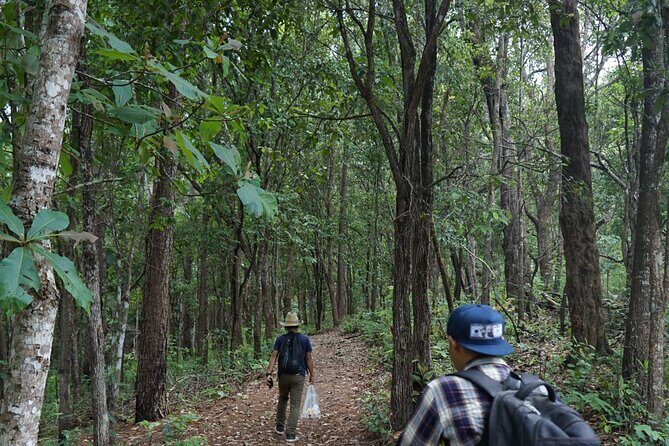 Chiang Mai Trekking Tour :Full day (no rafting) - What to Expect from the Itinerary