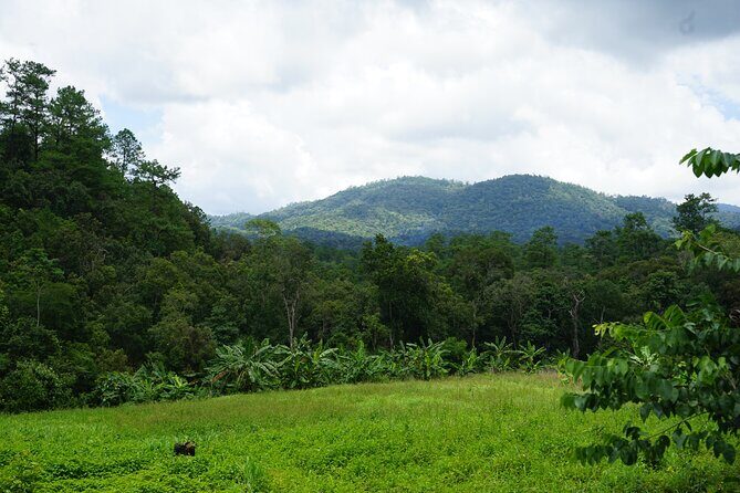 Chiang Mai Trekking Tour :Full day (no rafting) - Authenticity and Ethical Focus