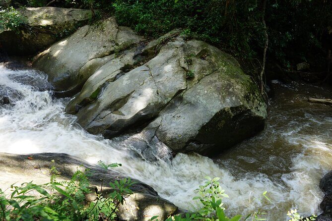 Chiang Mai Trekking Tour :Full day (no rafting) - Frequently Asked Questions