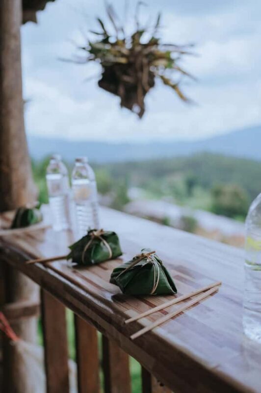 Chiang Mai: Two-day tour at the Temple of Elephants Sanctuary - Day Two: Elephant Encounters and Waterfalls