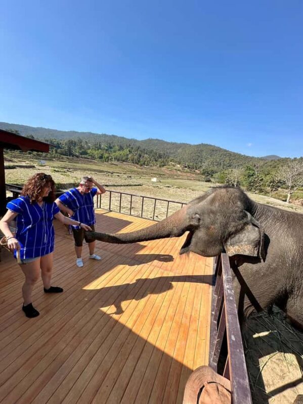 Chiang Mai: Two-day tour at the Temple of Elephants Sanctuary - Transportation, Timing, and Group Size