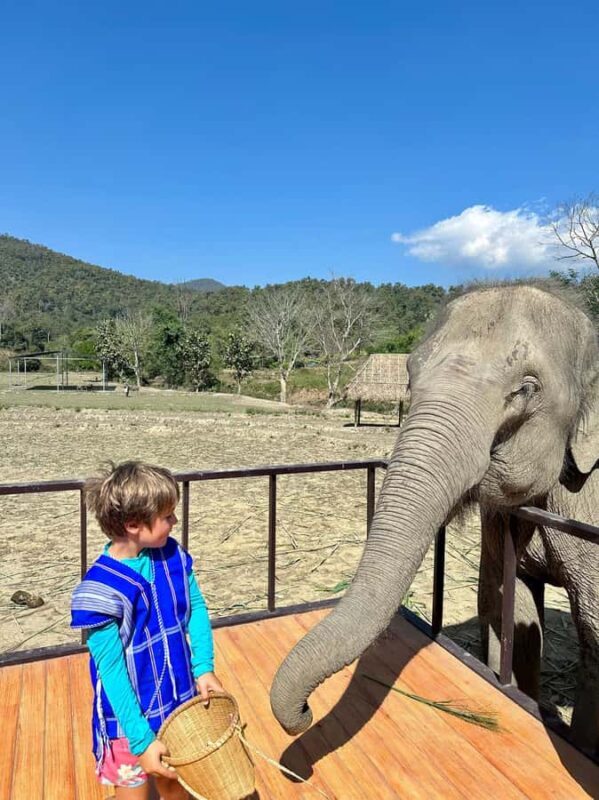 Chiang Mai: Two-day tour at the Temple of Elephants Sanctuary - FAQ