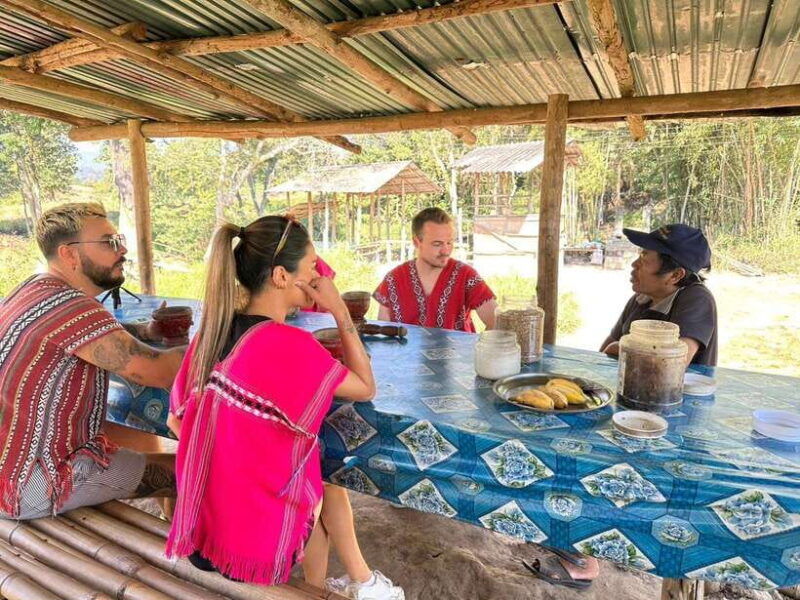 chiang-mai-untouched-elephant-nature-walk-waterfall-trek