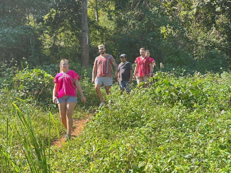 chiang-mai-untouched-elephant-nature-walk-waterfall-trek