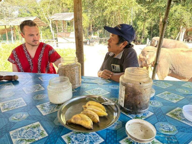 chiang-mai-untouched-elephant-nature-walk-waterfall-trek