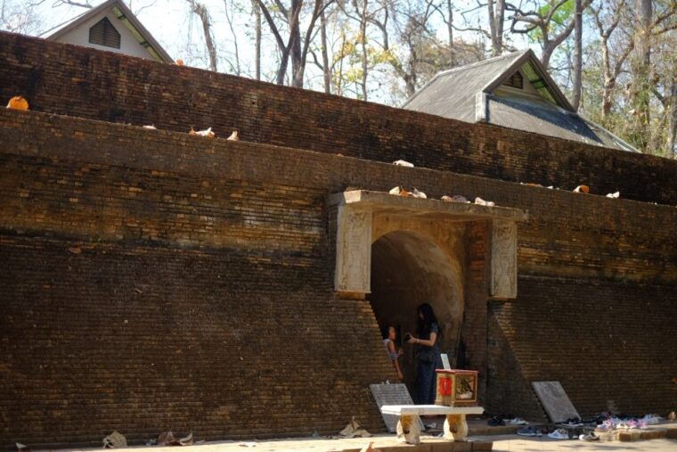 chiang-mai-wat-umong-doi-suthep-half-day-tour