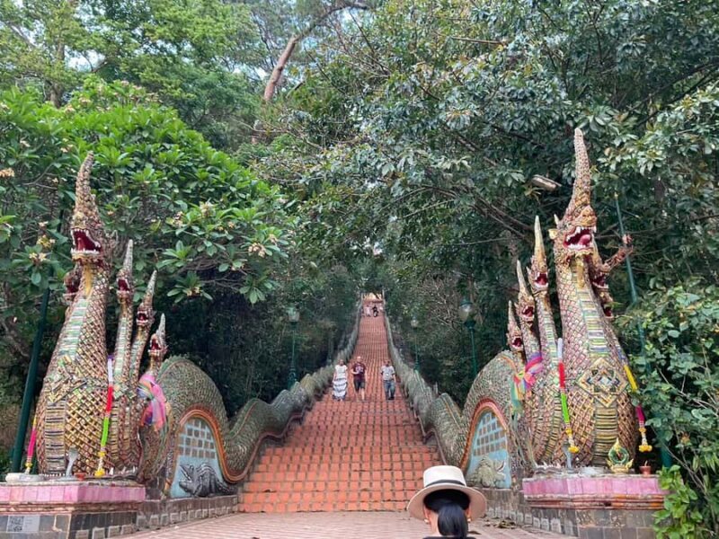 Chiang Mai: Wat Umong, Wat Pha Lat And Wat Doi Suthep Tour - Who Will Love This Experience?