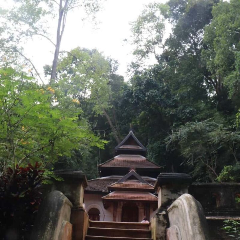 Chiang Mai: Wat Umong, Wat Pha Lat And Wat Doi Suthep Tour - Practical Details & Tips