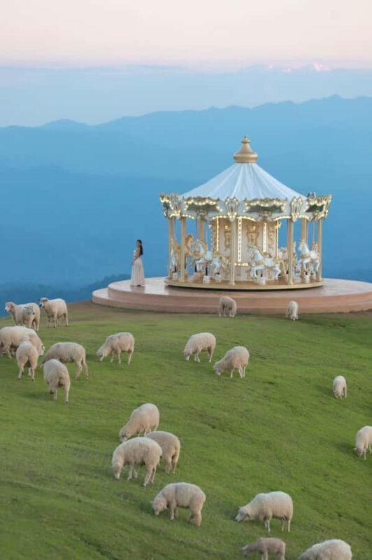 Chiang Mai: White Temple, Singha Park & Akha Farm Tour - Key Points