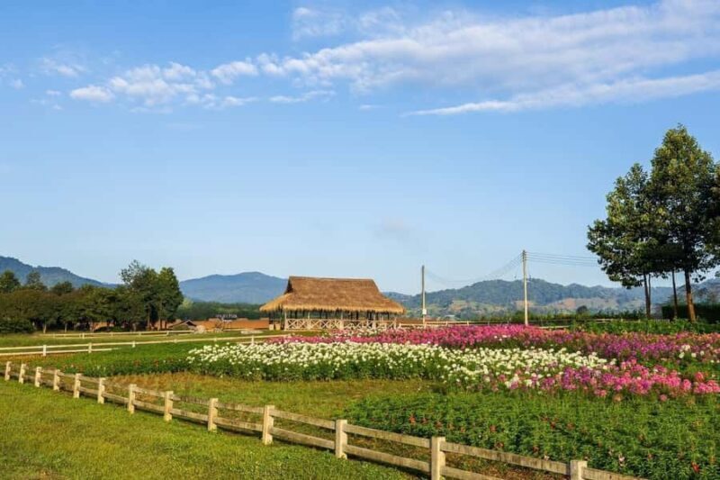 Chiang Mai: White Temple, Singha Park & Akha Farm Tour - Authenticity and Additional Details