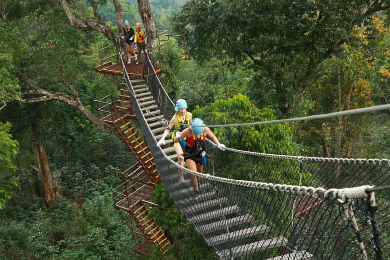 Chiang Mai: Zipline Adventure with Buffet Lunch and - Key Points