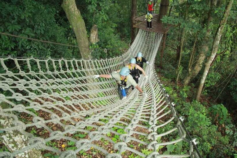 Chiang Mai: Zipline Adventure with Buffet Lunch and - Authentic Insights from Reviews