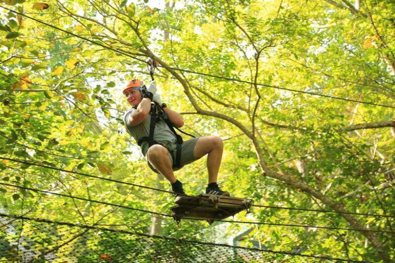 chiang-mai-zipline-high-rope-park-with-lunch-transfer