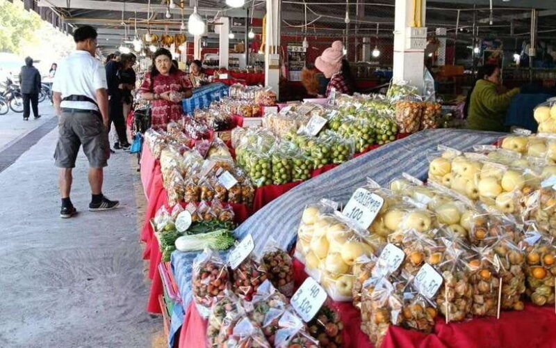 chiang-maidoi-inthanon-national-park-hike-at-kew-mae-pan