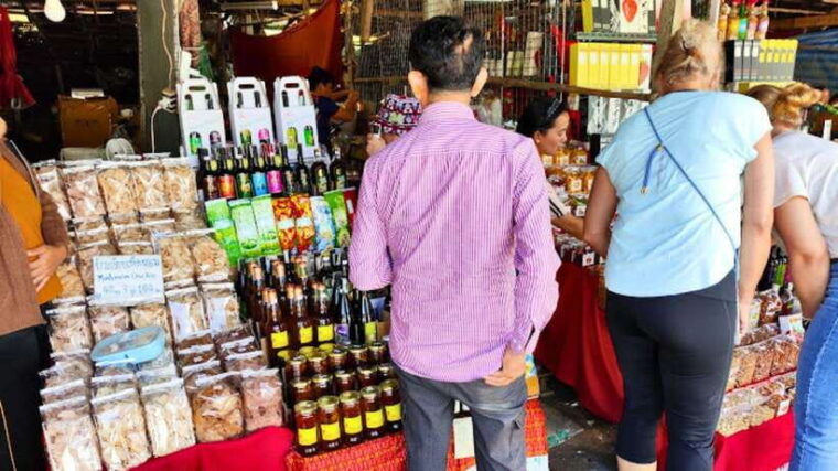 chiang-maidoi-inthanon-national-park-hike-at-kew-mae-pan