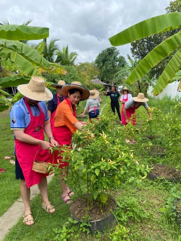 Chiang Mai:Farm-to-Table Cooking Class & Buatong Waterfall - Discovering the Charm of Chiang Mai’s Culinary & Natural Wonders