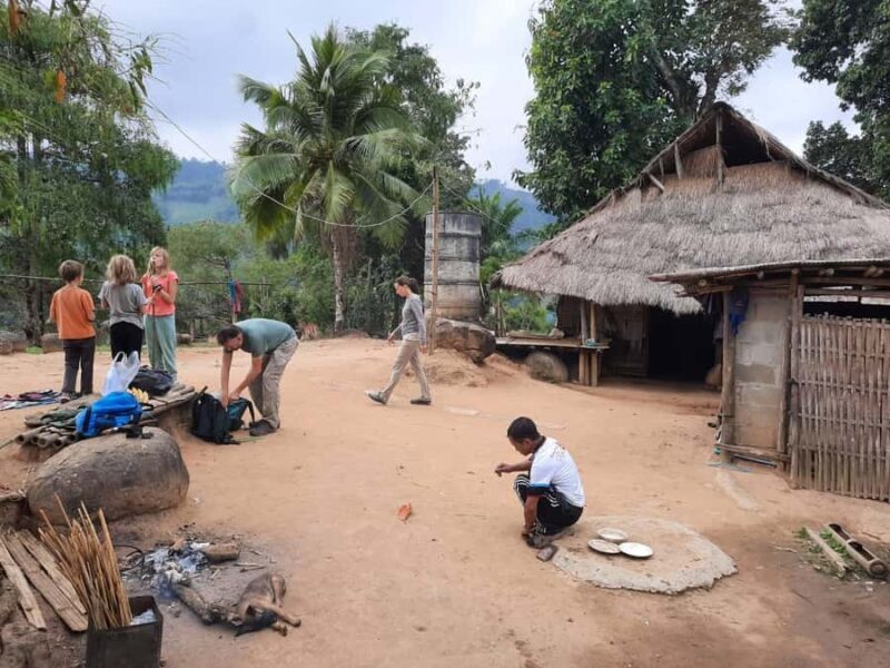 Chiang Rai 1 Day Jungle Trek with Bamboo Lunch & Local Guide - Key Points