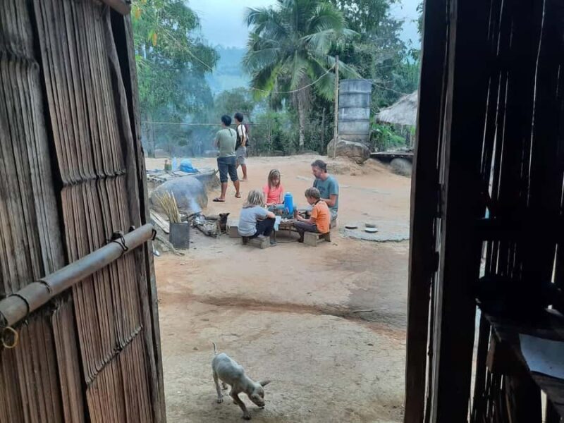 Chiang Rai 1 Day Jungle Trek with Bamboo Lunch & Local Guide - Practical Considerations