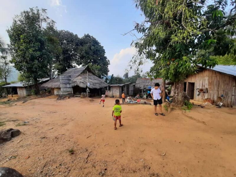 Chiang Rai 1 Day Jungle Trek with Bamboo Lunch & Local Guide - FAQ