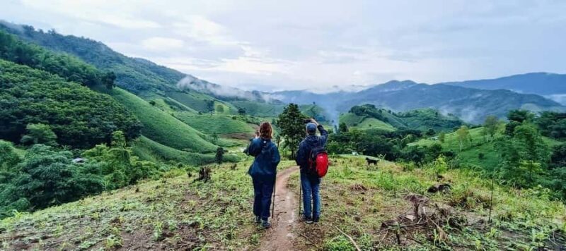 Chiang Rai: 1-Day Trekking and Longtail Boat Trip - Authentic Experiences and Insights from Reviewers