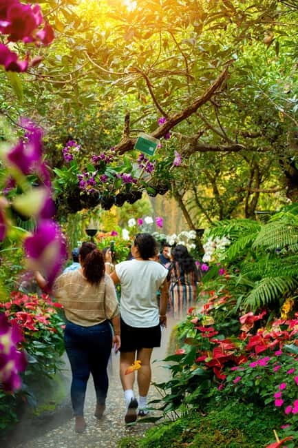 Chiang Rai: 3 Temples, Long Neck Village & Lalitta Café - Starting Your Day: From Chiang Mai to Chiang Rai