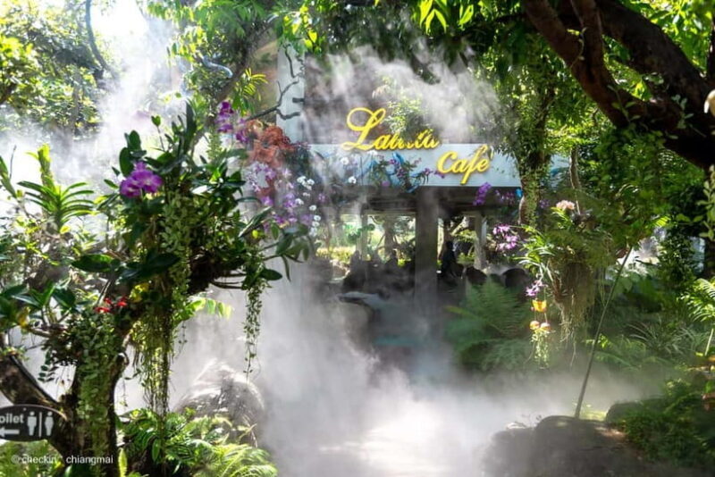 Chiang Rai: 3 Temples, Long Neck Village & Lalitta Café - Who Will Love This Tour?