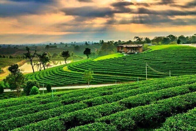 Chiang Rai 7 Incredible Highlights Tour Lunch Included - Considerations and Tips