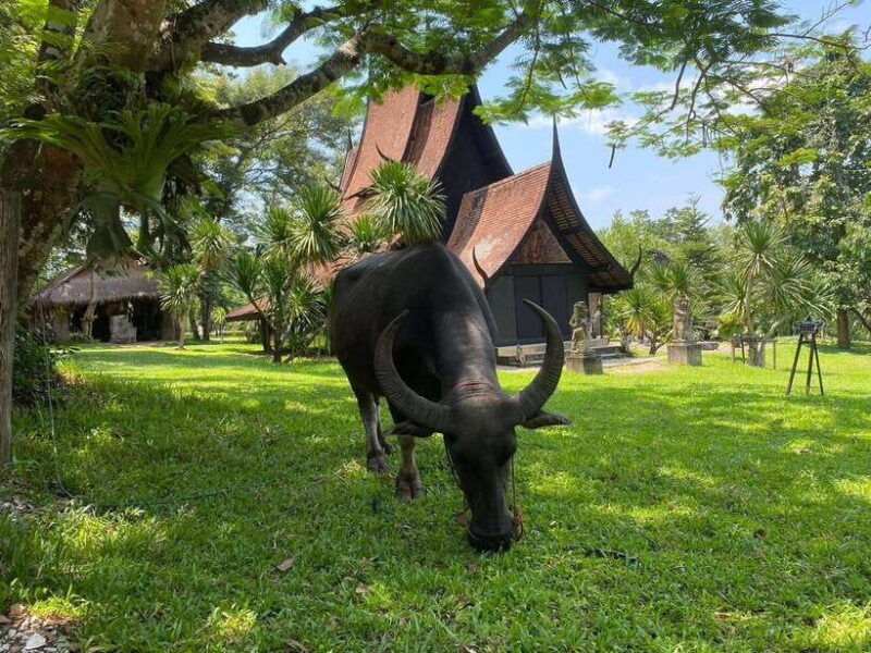 chiang-rai-7-stop-tour-with-english-guide-thai-buffet