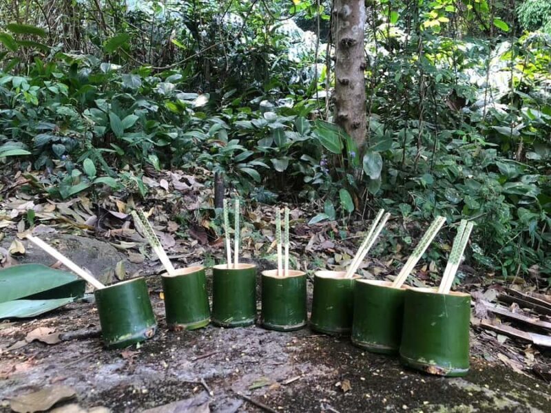 Chiang Rai Adventure Trekking & Bamboo cooking - Who Will Love This Tour?