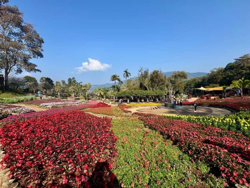 Chiang Rai: Explore Mountain & Border Routes - Private Tour - FAQ