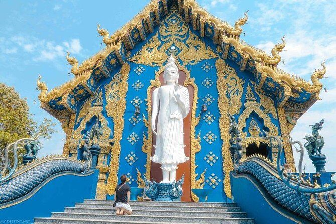 Chiang Rai food & night market walking tour with local host - Final Thoughts