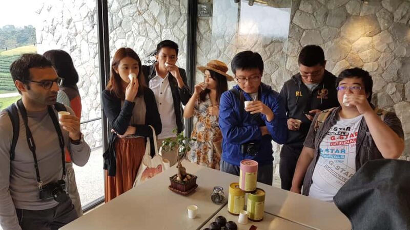 Chiang Rai: Guided Full-Day Highlights with Buffet Lunch - A Complete Breakdown of the Tour Experience