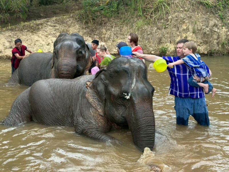 Chiang Rai: Heart to Heart Elephant Sanctuary Half Day Visit - Chiang Rai: Heart to Heart Elephant Sanctuary Half Day Visit – A Genuine Wildlife Experience