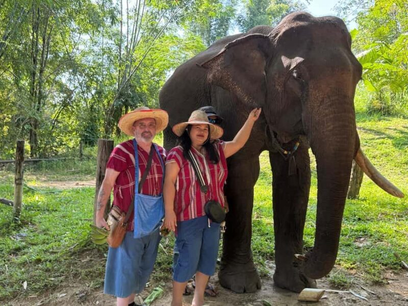 Chiang Rai: Heart to Heart Elephant Sanctuary Half Day Visit - Why This Tour Matters